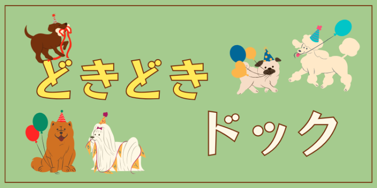 どきどきドック